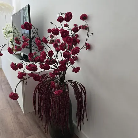 Rossi Apartament Split