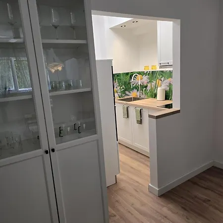 Rossi Apartament
