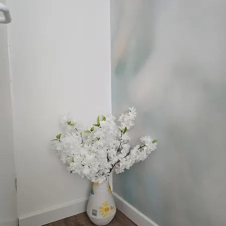 Apartament Rossi Split